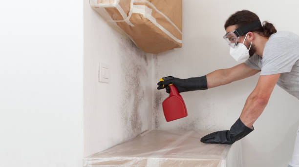 Professional Crawl Space Mold Removal technician working in Leck Kill, PA